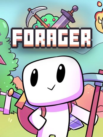 Forager US Nintendo Switch CD Key