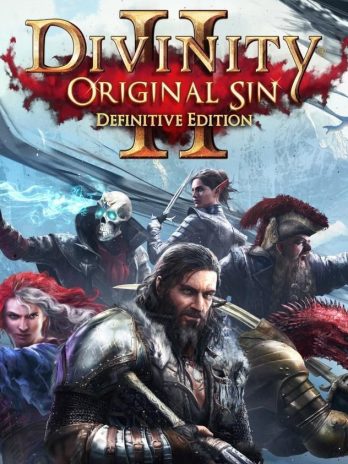 Divinity: Original Sin 2 Definitive Edition PlayStation 4 Account pixelpuffin.net Activation Link